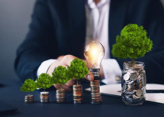 Sustainable Business Practices: Balancing Profitability and Environmental Responsibility Balancing Profitability and Environmental Responsibility