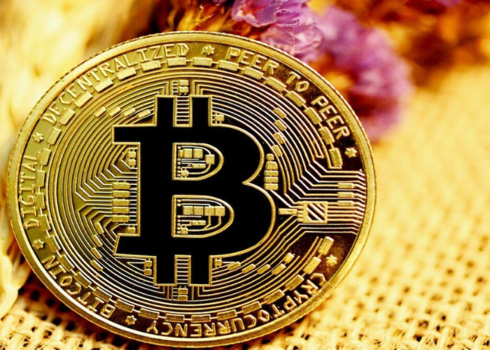 Exploring the New Frontier of Digital Assets