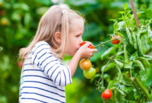 Essential Tips and Tricks for Cultivating a Thriving Garden