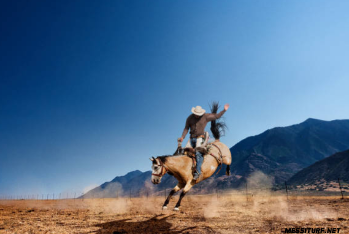 les chevaux les plus rapides du quinté du jour