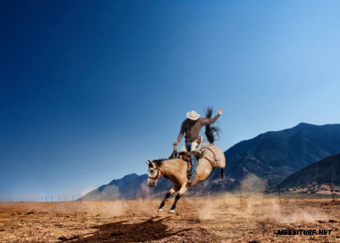 les chevaux les plus rapides du quinté du jour