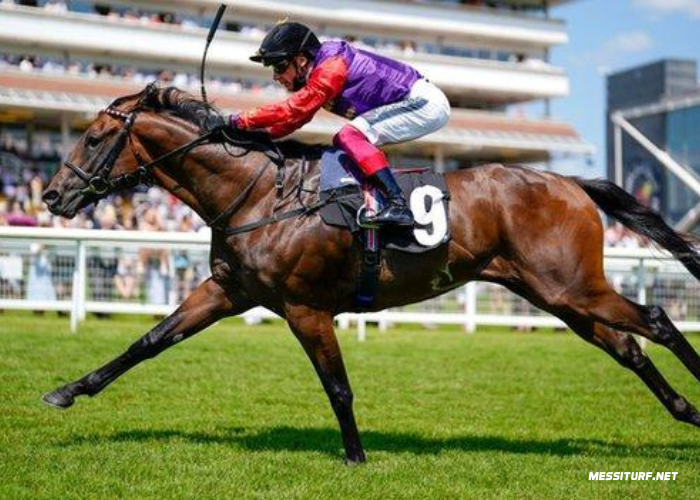 Turf Formule