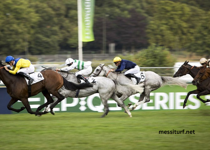 La Filière Turf