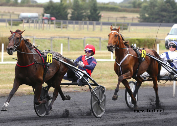 Les 7 du Tiercé