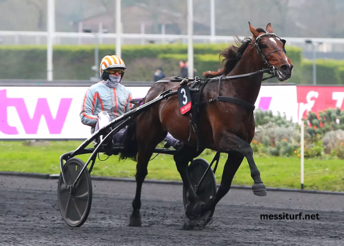 Zeturf Dernière Minute
