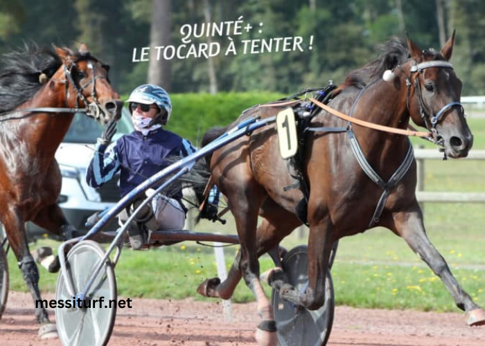 Joli Turf Gagnant
