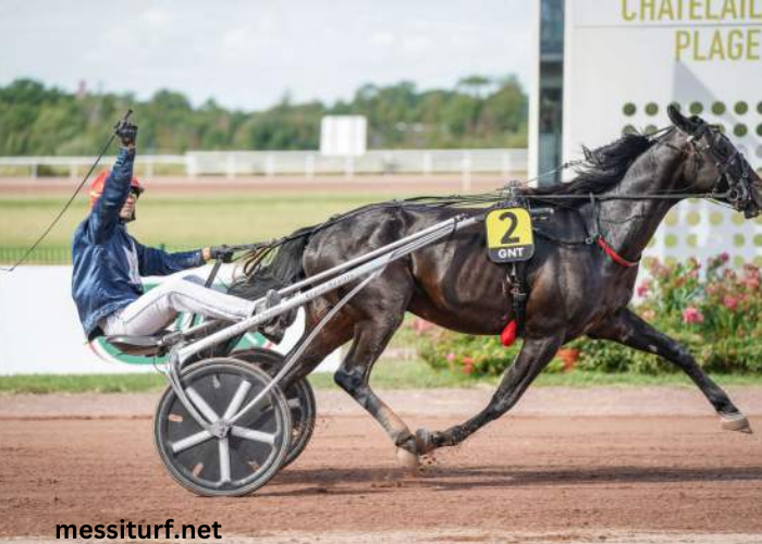 Pronochokant Pmu du Jour