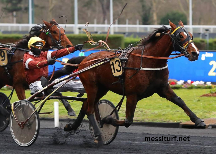les 3 chevaux incontournables