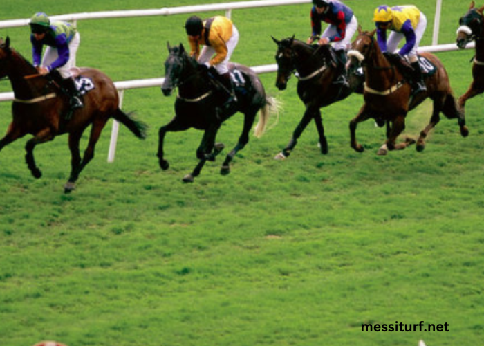 Turf Pronostic 7