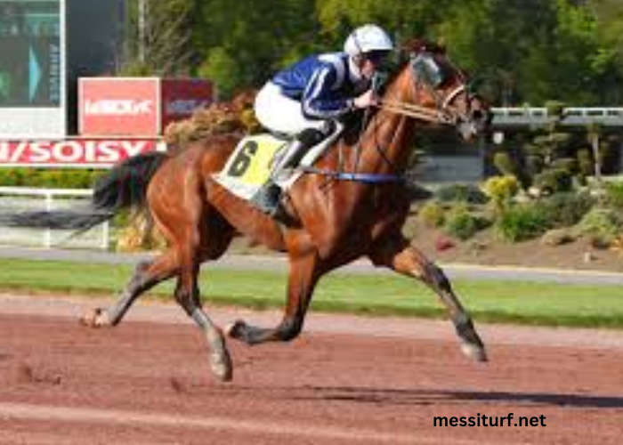 Nivard Guyon Turf