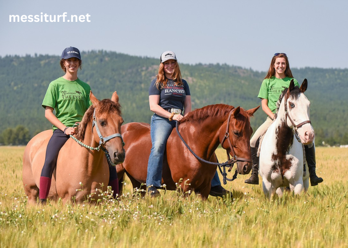 Horses