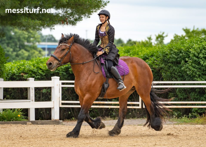 The Majestic Horse: Exploring the History, Breeds, and Roles of Equine Companions Horse