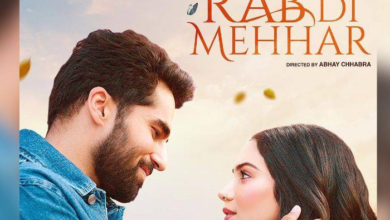 A Heartwarming Punjabi Film Journey Through Love and Destiny