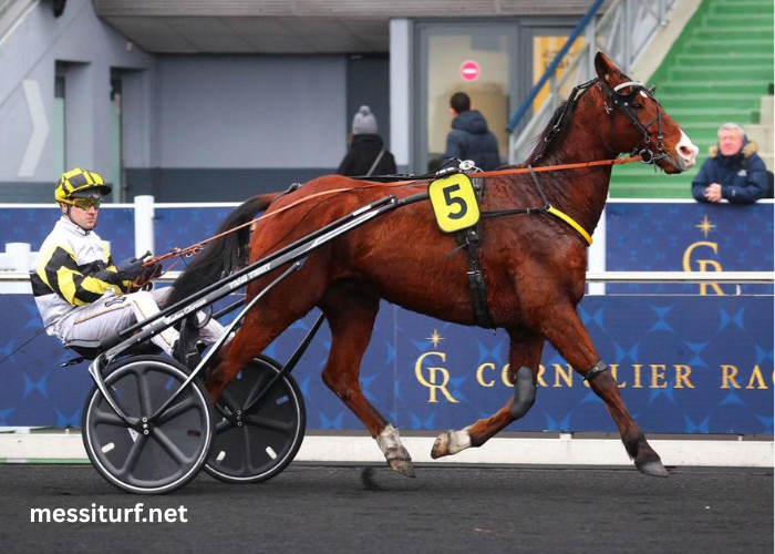 Cheval Coup Sur Du Jour (1)