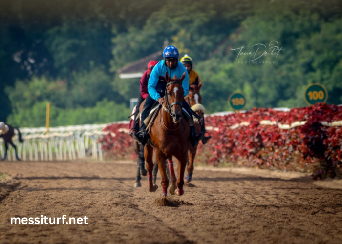 LA Filiere Turf