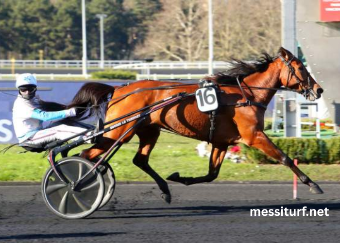 Meilleur Pronostic Pmu Gagnant (1)