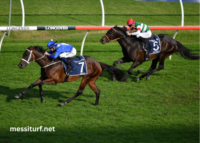 Turf Dernière Minute