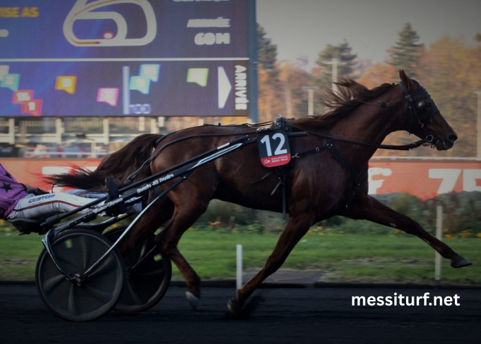 Gagnant Turf Vip Gagnant Turf Vip (2)