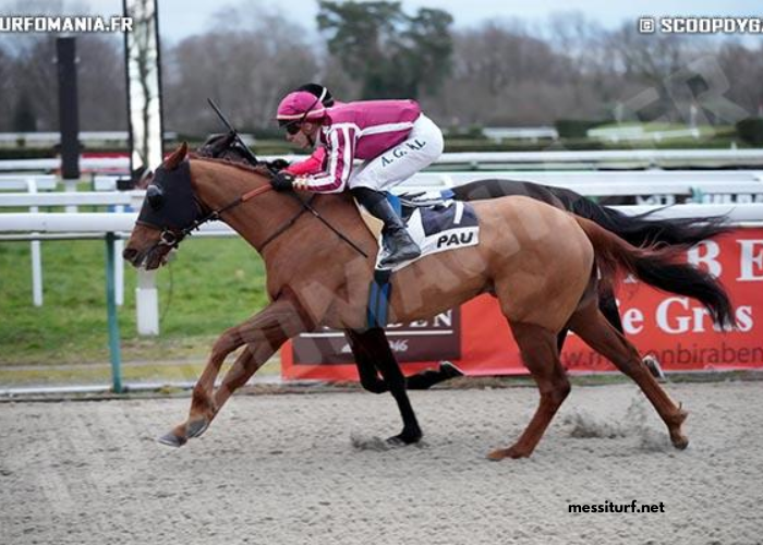 Good Hippique Turf