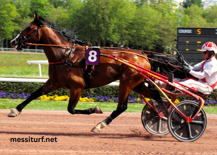 Le Duo Du Turf (1)