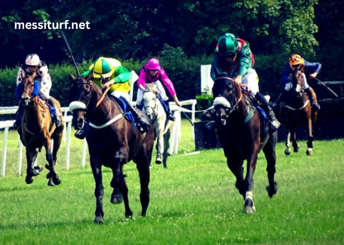 Promo Turf 100 Gratuit (1)