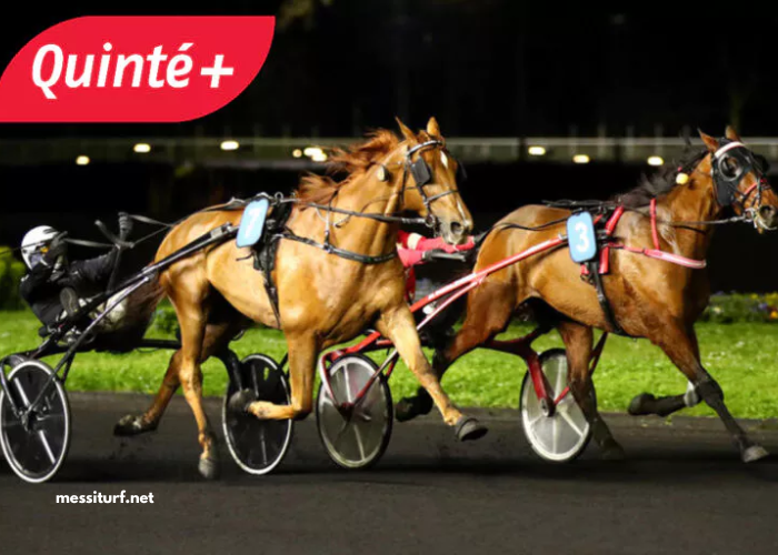 Pronostic DE Demain