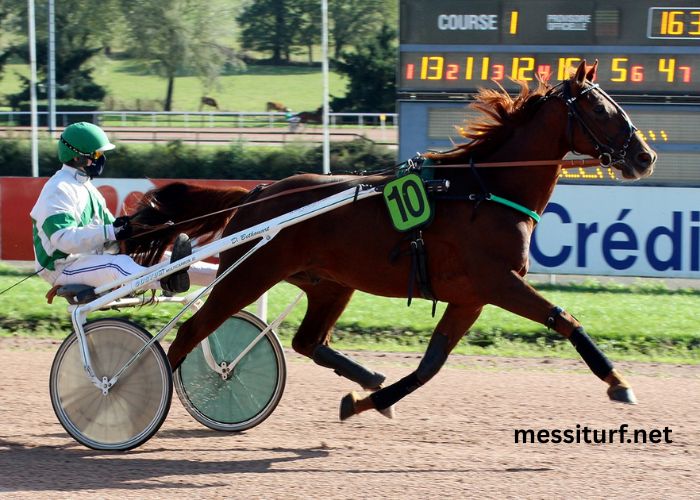 Super Gagnant Turf