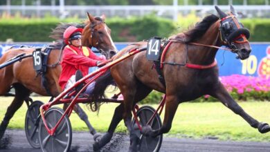100pour100 Quinteplus