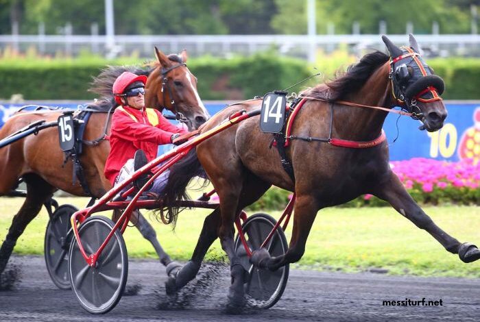 100pour100 Quinteplus