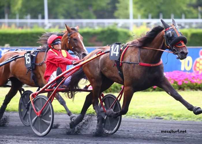 100pour100 Quinteplus