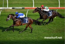 Equidia Turf Pronostic (1)