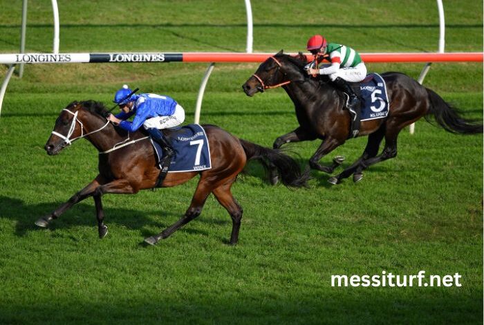 Equidia Turf Pronostic (1)