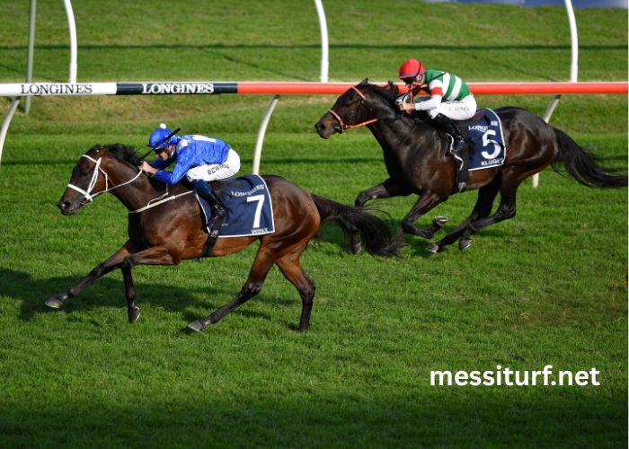 Equidia Turf Pronostic (1)