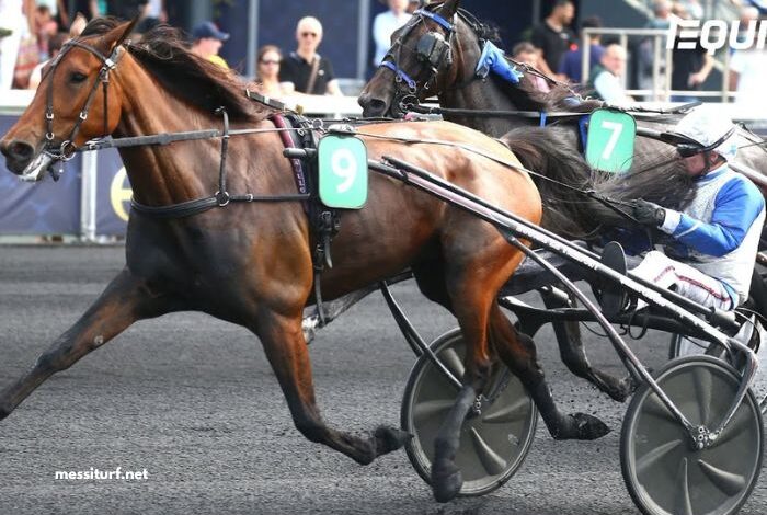 Journal Gratuit Du Parieur (1)