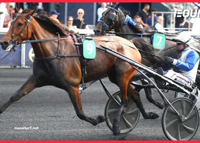 Journal Gratuit Du Parieur (1)