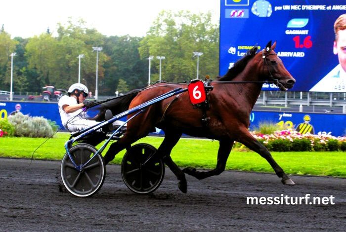 Lavoyeuse Coup SU Du Jr