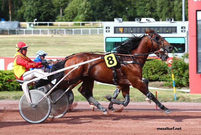 Lesduels Du Quinté