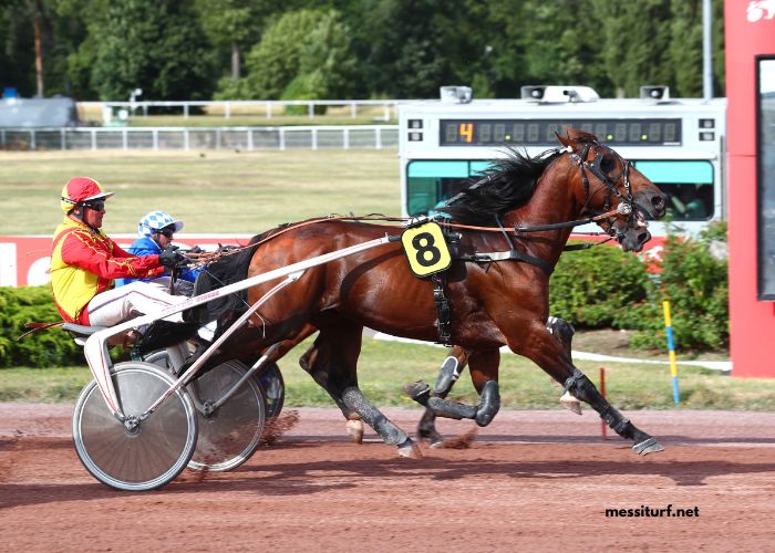 Lesduels Du Quinté