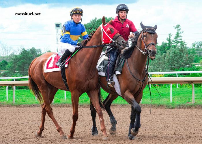Lingodor Turf 2019