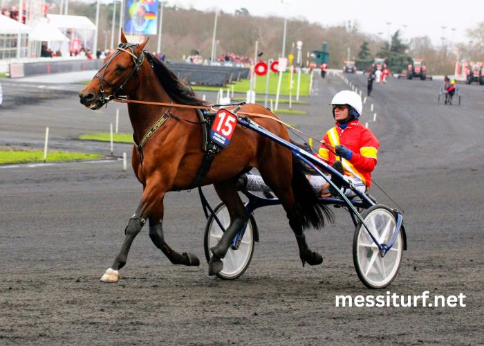 Ordre-Tierce Vip