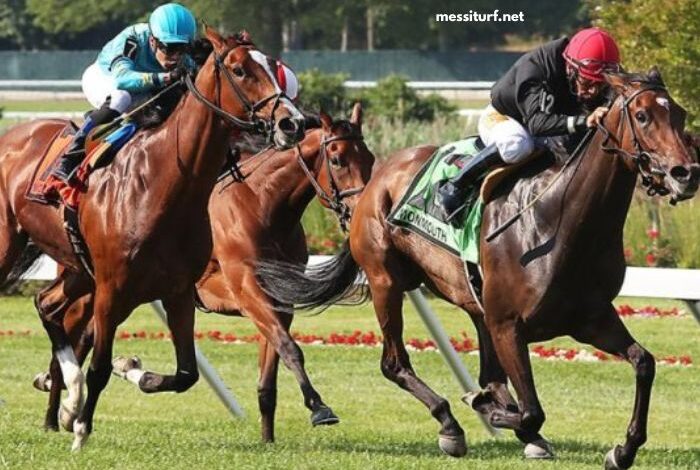Paris Promise Turf