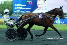 Pmu Malin 100 Ordre
