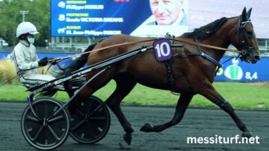 Pmu Malin 100 Ordre