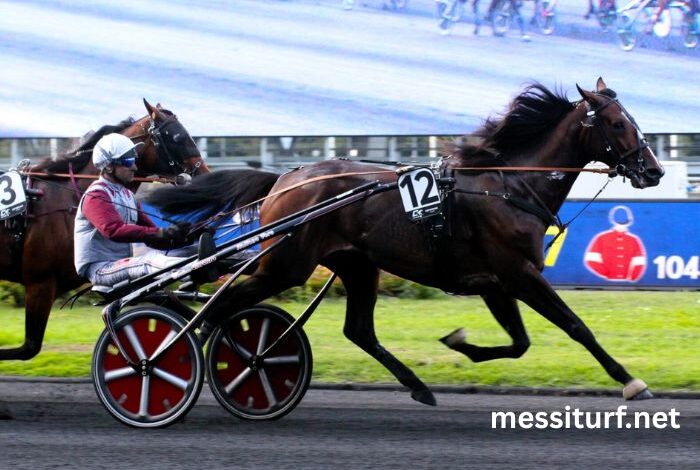 Pronostic Pmu Du Jour
