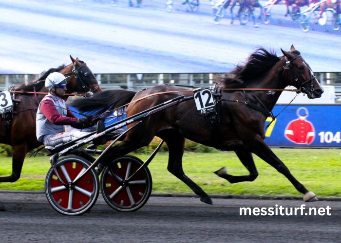 Pronostic Pmu Du Jour