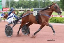 Pronostic Pmu Quinté Du Jour (4)