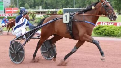 Pronostic Pmu Quinté Du Jour (4)