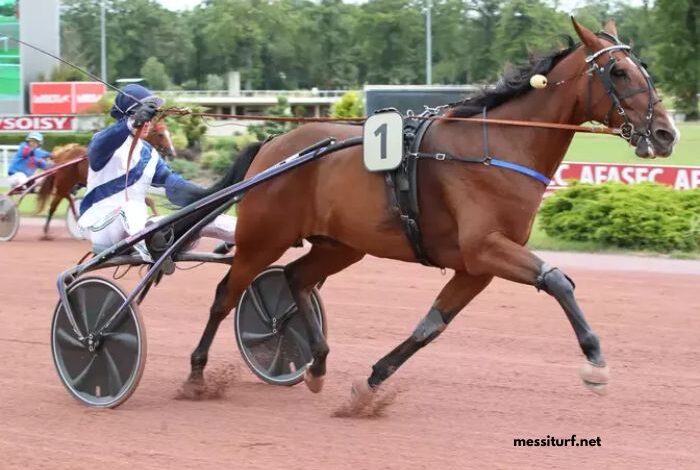Pronostic Pmu Quinté Du Jour (4)