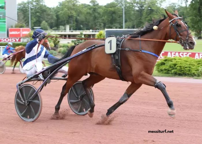Pronostic Pmu Quinté Du Jour (4)