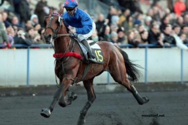 Club Hippique Gagnant